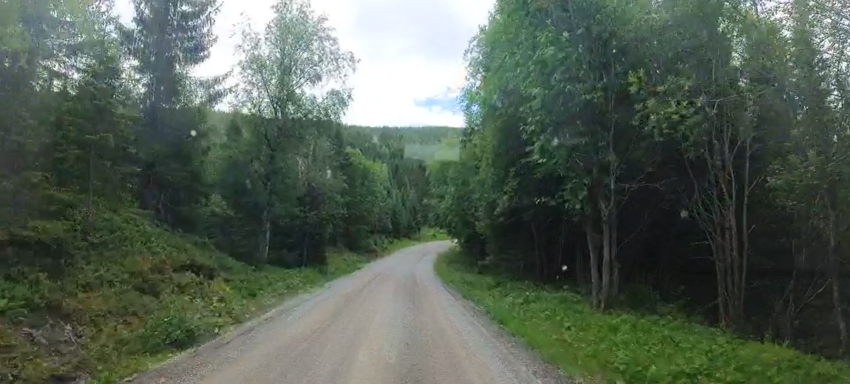 Kategorie 5